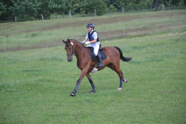 reitertag 2013 290